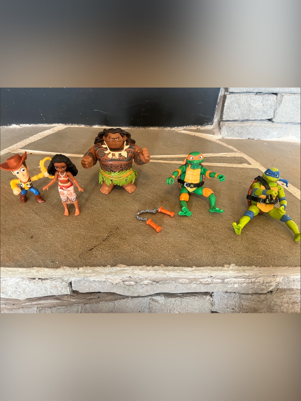 Moana, Ninja turtles,Woody toys